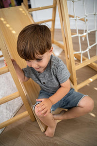 Avenlur Magnolia Indoor Playground 7-in-1 Jungle Gym