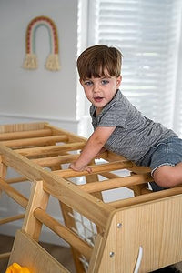 Avenlur Magnolia Indoor Playground 7-in-1 Jungle Gym