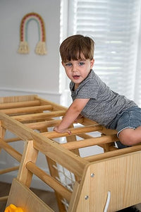 Avenlur Magnolia Indoor Playground 7-in-1 Jungle Gym